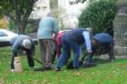 thmiddlewichcommunitybulbplanting3_small.jpg