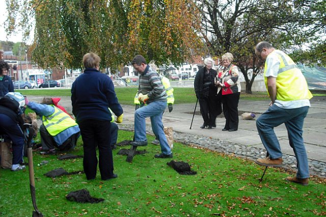 thmiddlewichcommunitybulbplanting5.jpg