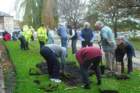 thmiddlewichcommunitybulbplanting7_small.jpg