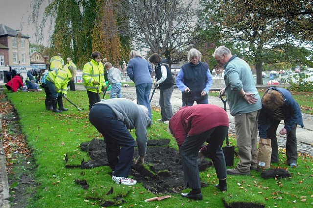 thmiddlewichcommunitybulbplanting8.jpg