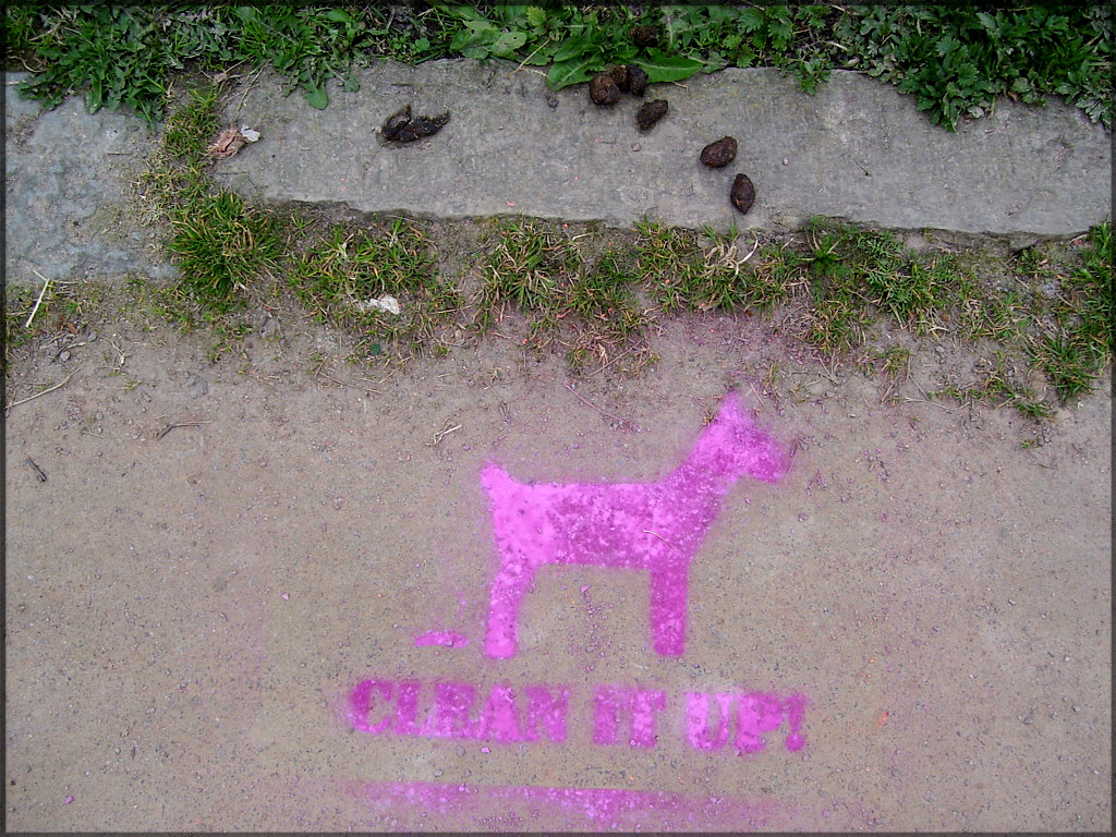 Highlighting Dog Fouling Issues. A foul example, dog owners take notice please.