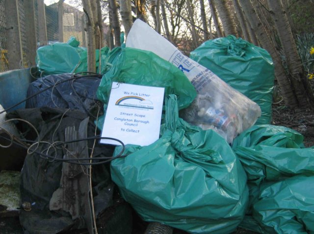 litterpick3.jpg