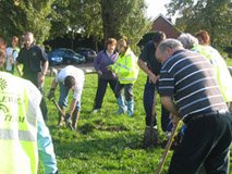 bulbplanting.jpg
