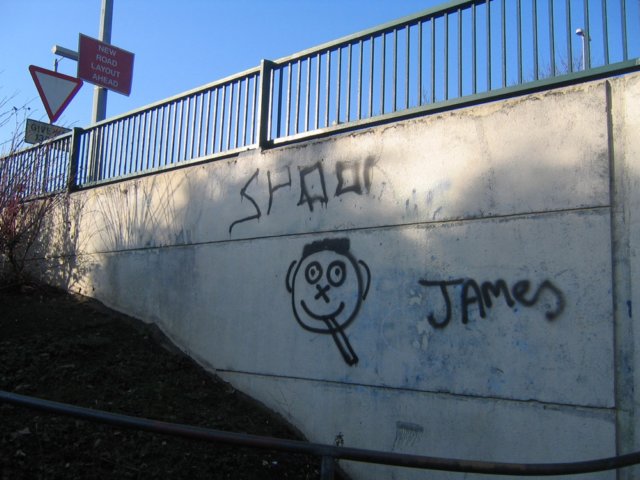 subwaygraffitti.jpg