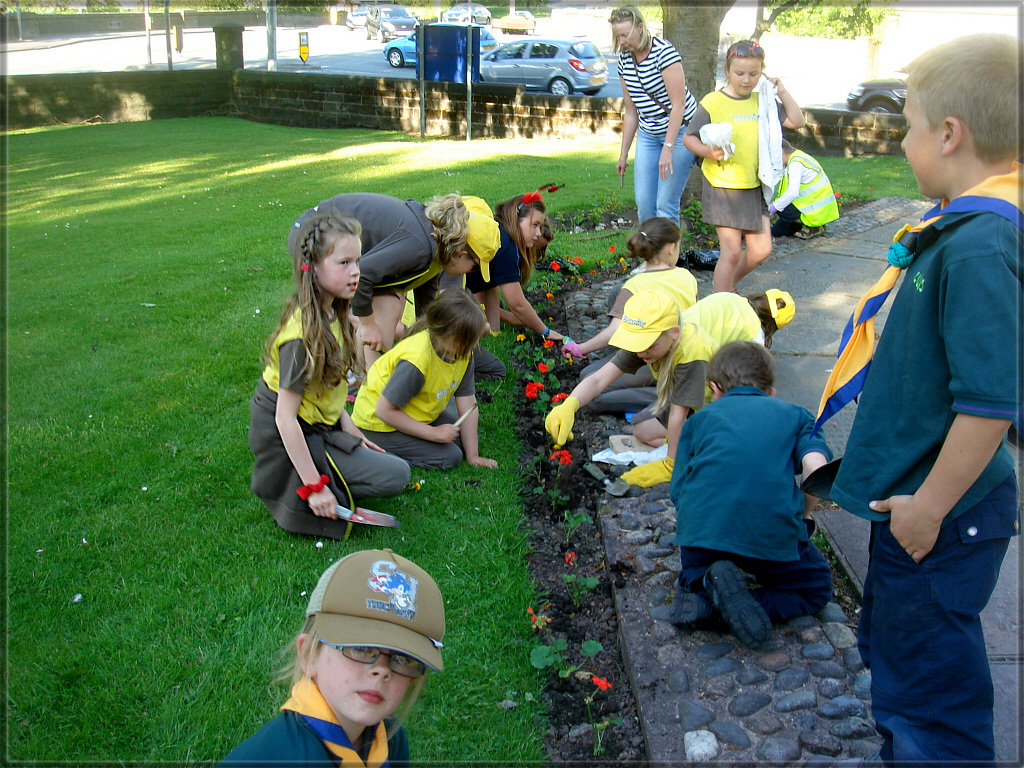 Brownies and Cubs planting