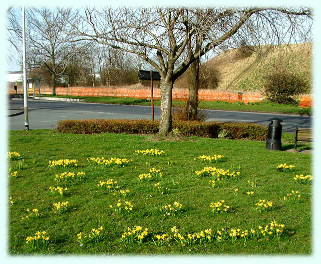 Warmingham Lane junction Long Lane