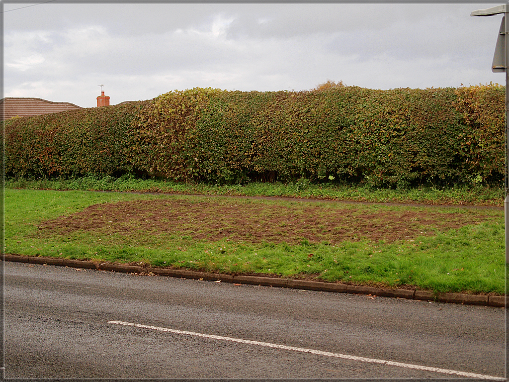 Job finished. The grass will soon re-establish itself and then in spring some welcoming daffodils will be glowing too - well done everybody and thanks to all contributors for their part.